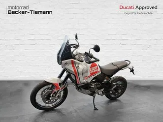 ducati desertx star white silk