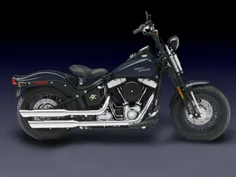2009 harley-davidson® flstsb - cross bones™
