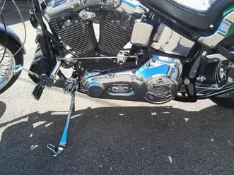 harley-davidson softail