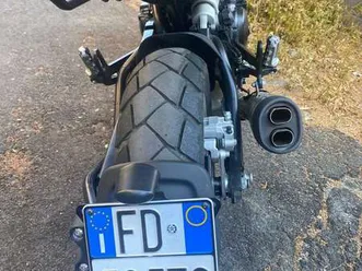 benelli leoncino 502 trail nero