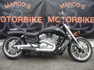 harley-davidson v rod muscle penzl