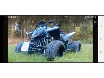 triton black lizard edition fzr 600 4 zylinder 95 ps einzelstück