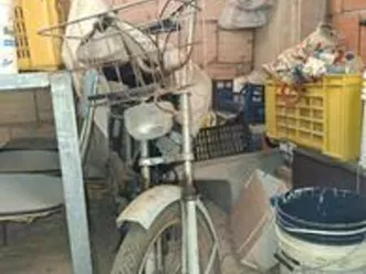 garelli altro modello