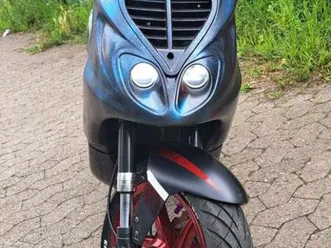 piaggio tph - nrg 25 & 50 papiere