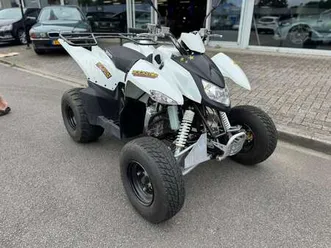 goes motor sp300-s automaat gordel 19 pk