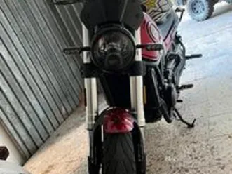 benelli leoncino 500 a2