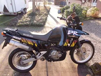 suzuki dr big