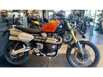 vendo triumph scrambler 1200 xe (2024 - 25) nuova a campodarsego (codice 9814916) - moto.it