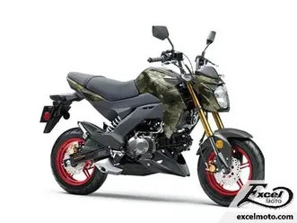 2025 kawasaki z125 pro