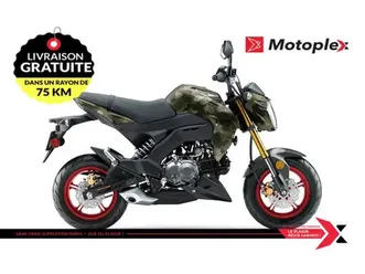 2025 kawasaki z125 pro
