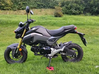 honda msx 125 grom