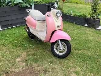 benzin roller nova motors rosa