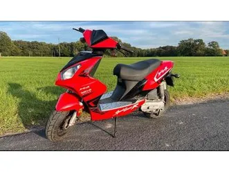 roller sachs speedforce r