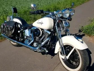 harley davidson springer softail
