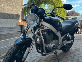 suzuki gs 500 / tiefergelegt