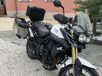 triumph tiger 800 bianco