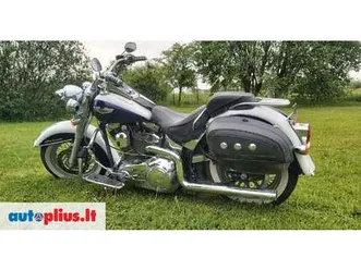 harley-davidson softail, choppers / cruisers / custom