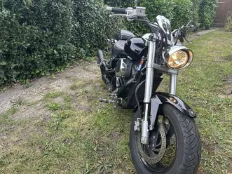 suzuki vz 800