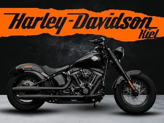harley-davidson flss softail slim s 110 cui - kesstech -