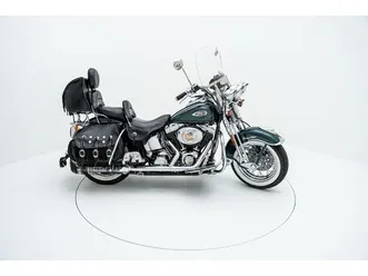 flsts heritage springer