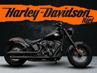 harley-davidson flss softail slim s 110 cui - kesstech -