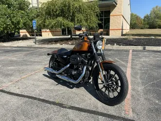 2014 harley-davidson® iron 883™ amber whiskey