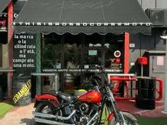 harley-davidson softail cross bones