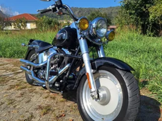 harley davidson fat boy