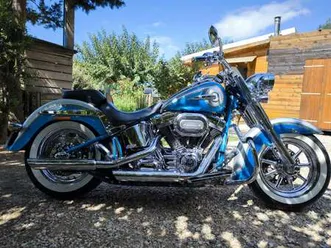 harley-davidson softail
