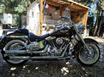 harley-davidson softail