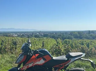 ktm duke 125 cc