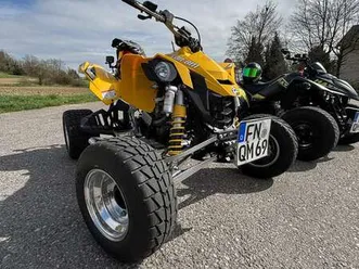 can-am ds