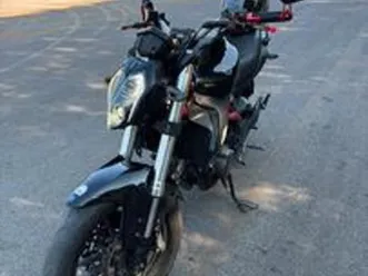 benelli 302s 2019