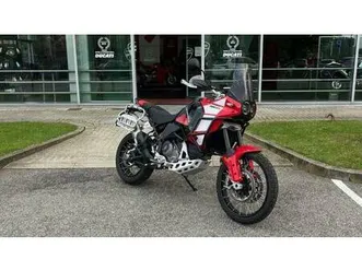 vendo ducati desertx discovery (2025) usata a grugliasco (codice 9830787) - moto.it
