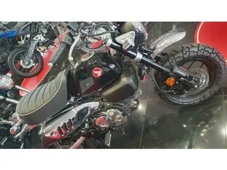 vendo honda monkey 125 (2025) nuova a piacenza (codice 9834206) - moto.it