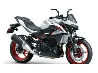 vendo kawasaki z 500 se (2024 - 26) nuova a rosta (codice 9834132) - moto.it