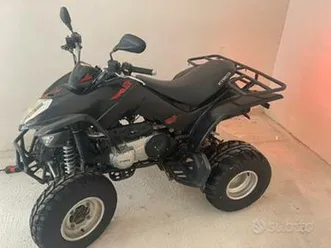 maxxer 300 quad 2009