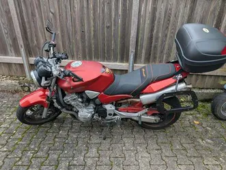honda hornet 900