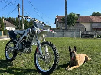 250 rmz 2008