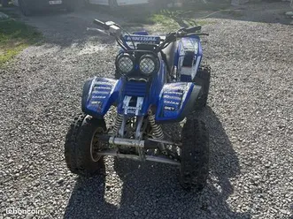 quad 350 warrior