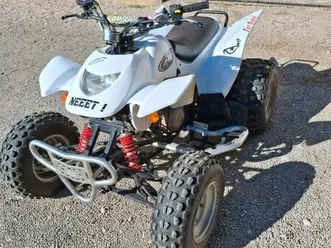 quad axr 300