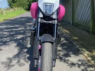 harley-davidson pan america