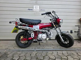 skyteam skymax 125 cc euro 4 ohne erstzulassung