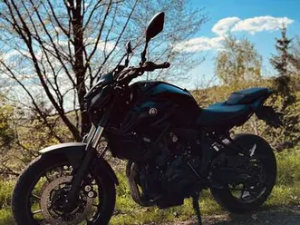 ligne homologuée arrow