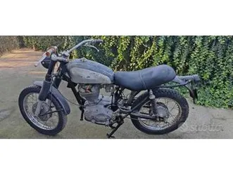 ducati scrambler 250 1968