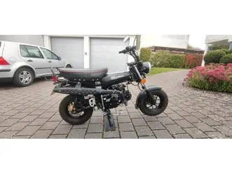 skyteam skymax 125 im top zustand