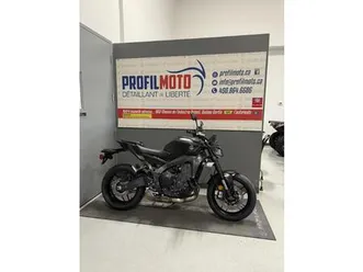 2025 yamaha mt-09 mt-09 gris glacial