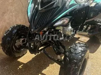 quad raptor 700 2024