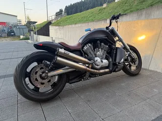 vrscf v-rod muscle abs