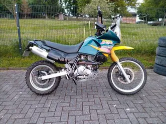 dr650 mit rallye cockpit